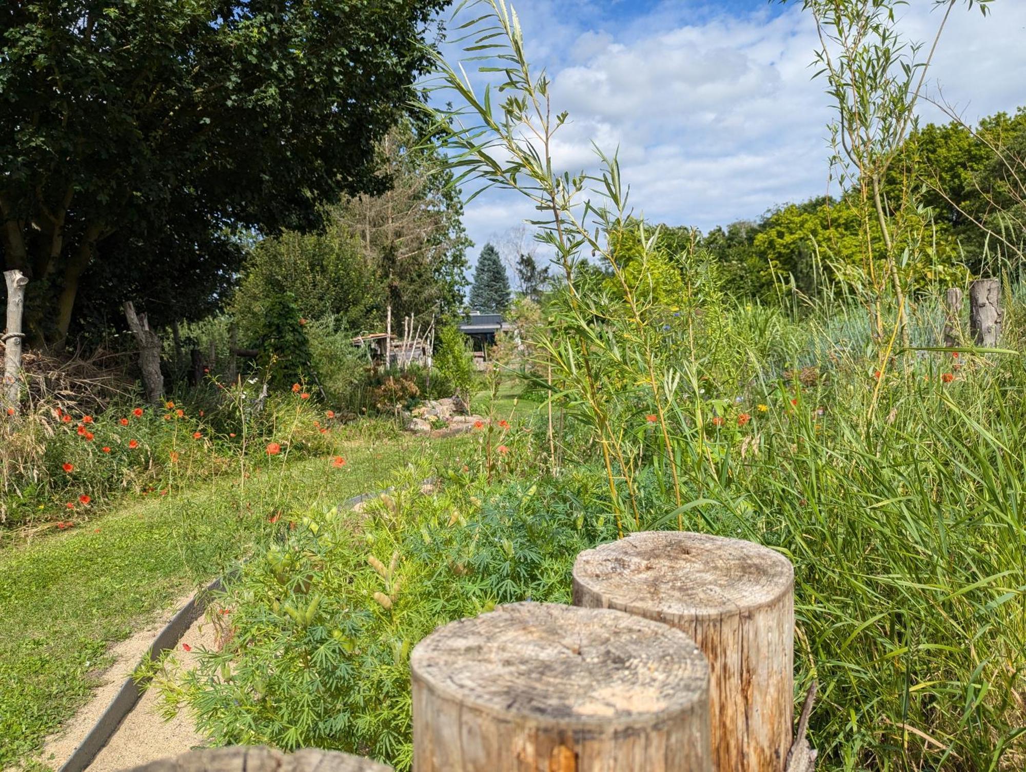 Ferienhaus Naturwerk Schwarzach am Main Esterno foto